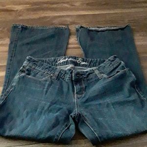 American Eagle Jean's Size 2 Short